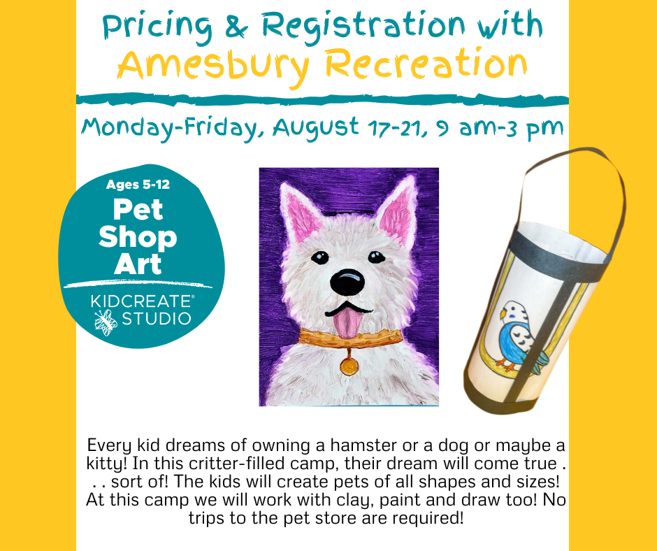 Pet Shop Art g